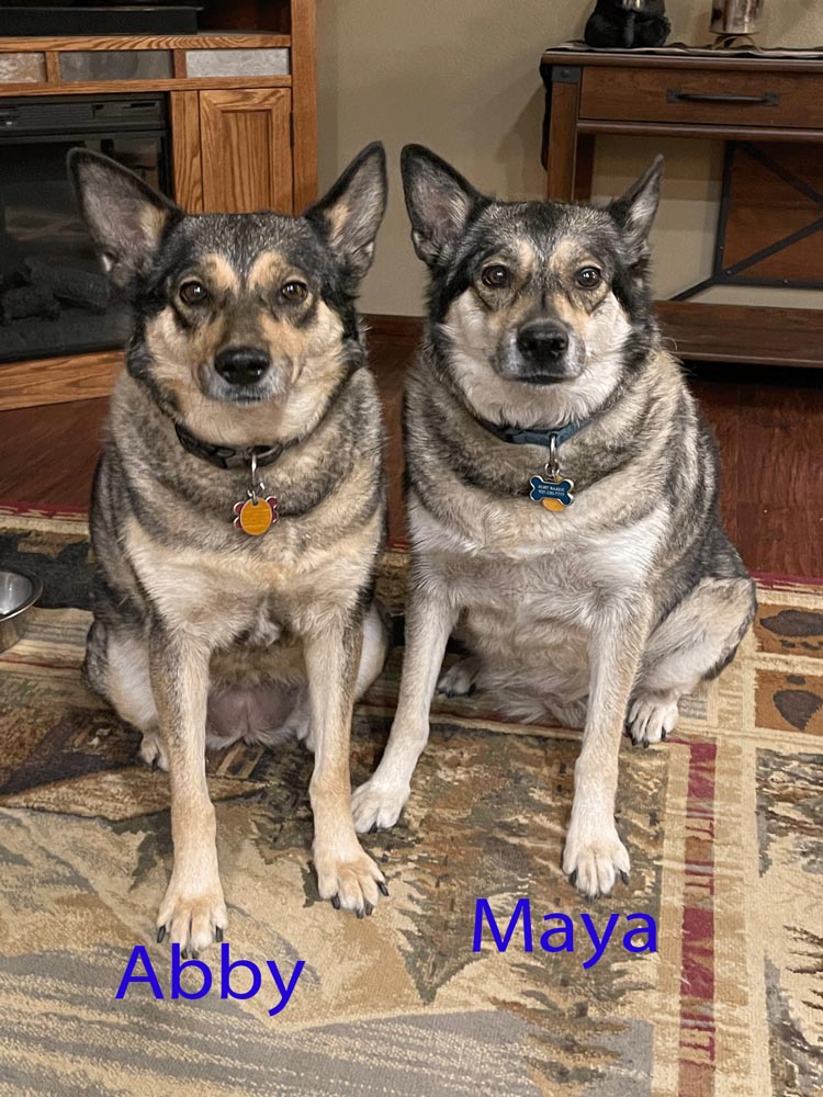 Abby-Maya